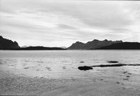 Meerblick Lofoten